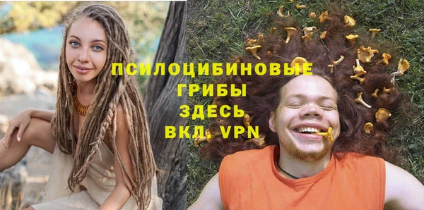 амфетамин Алексеевка