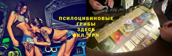ешки Алзамай