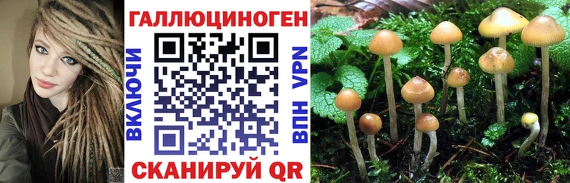 даркнет сайт  Калачинск  Псилоцибиновые грибы Psilocybe 